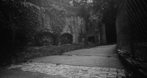 Pinhole_Parc_royat-2007